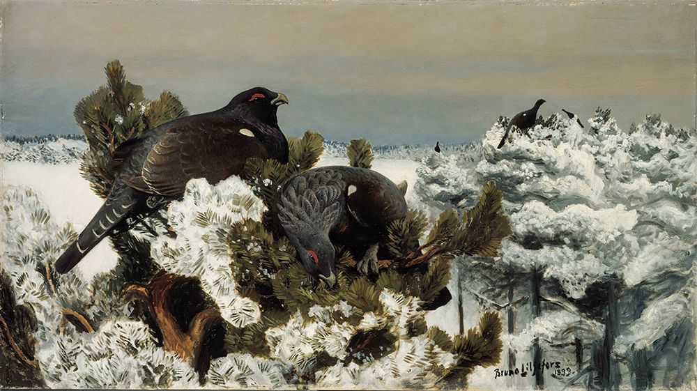 Capercaillies in a Winter Landscape, 1899