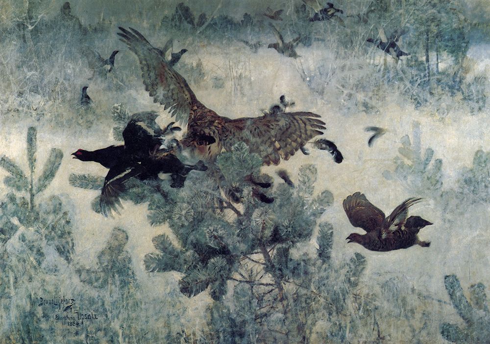 Hawk and Blackgame 1884