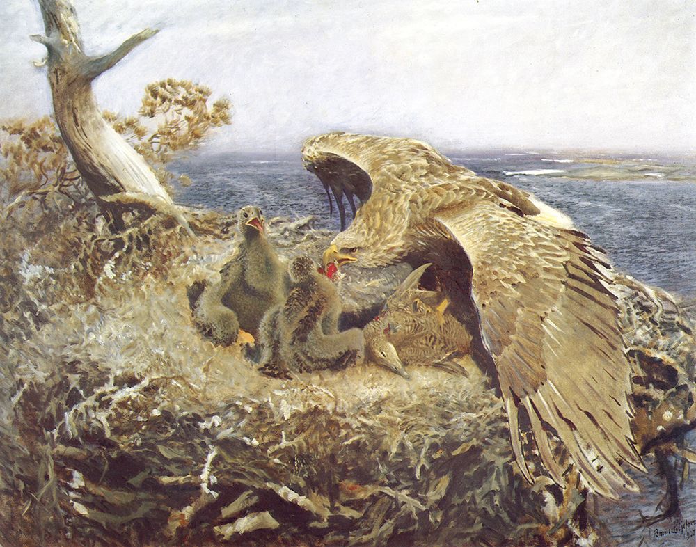 Sea Eagles Nest 1907