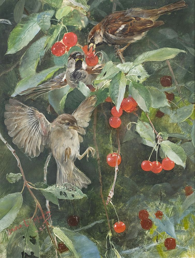 Sparrows in a Cherry Tree 1885