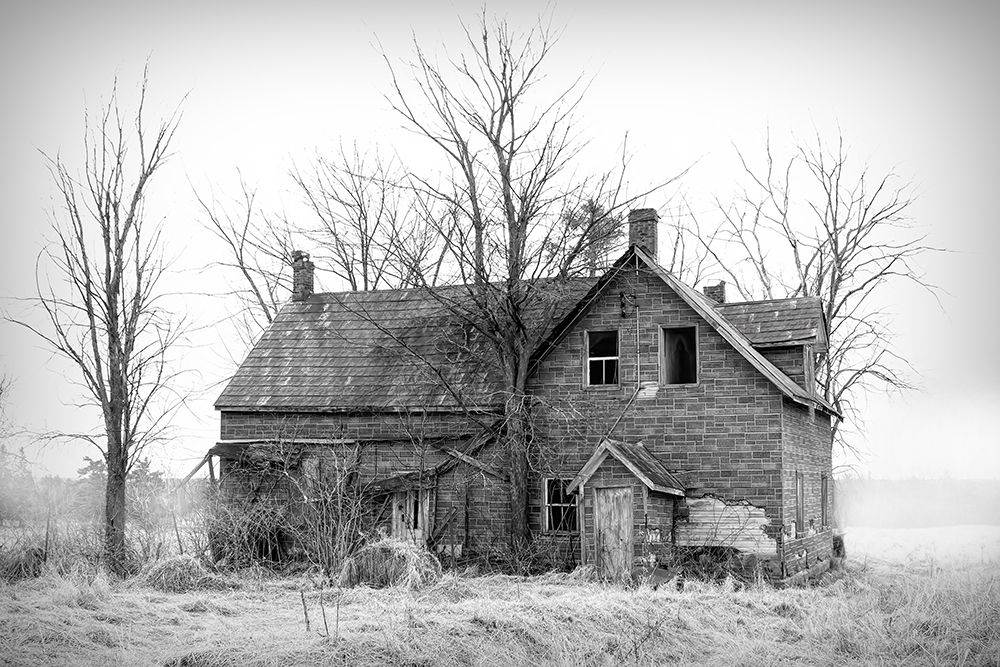 Abandoned Haunted House