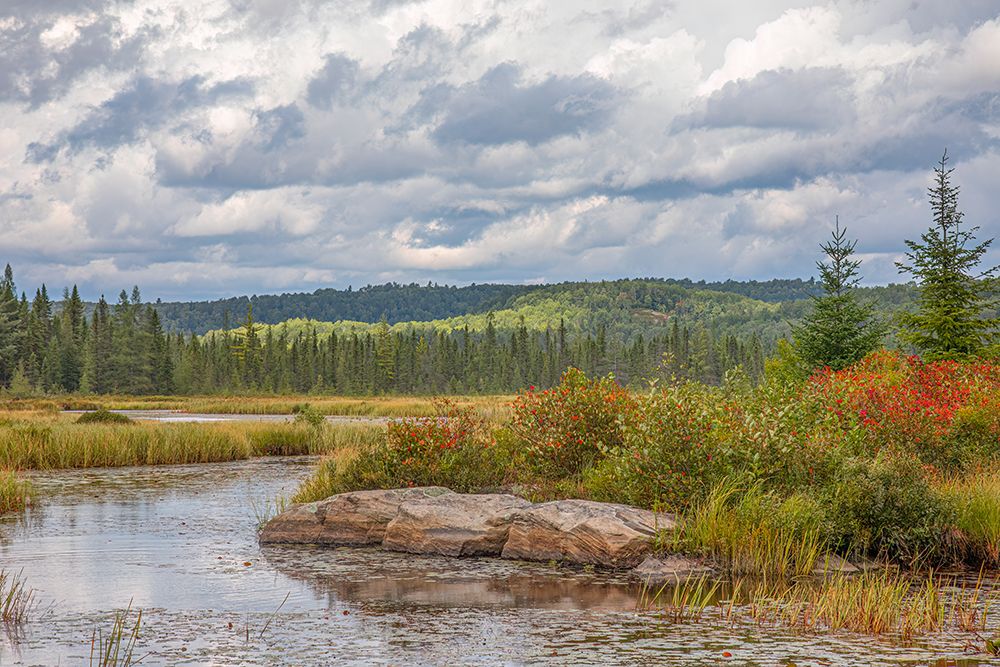 Costello Creek, Algonquin Park
