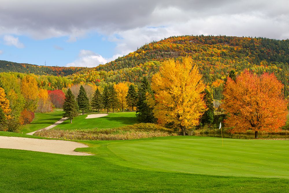 Golf Course in Autumn