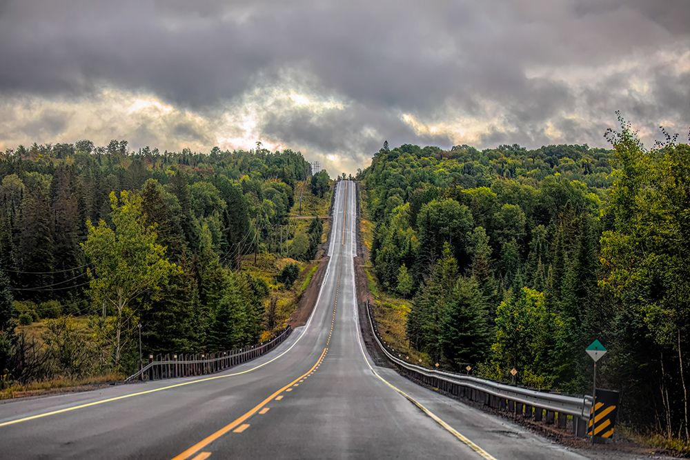Highway 60 Algonquin Park
