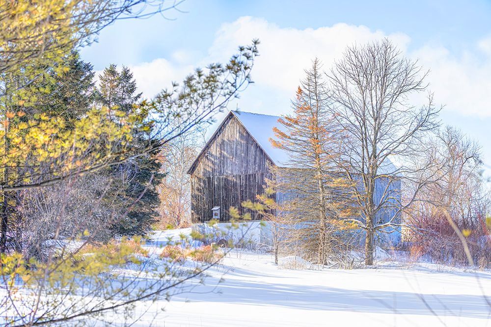 Old Barn Maxville, Ontario