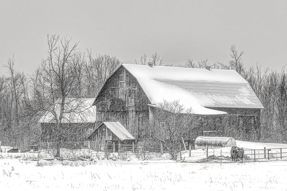 Old Barn Richmond, Ontario I