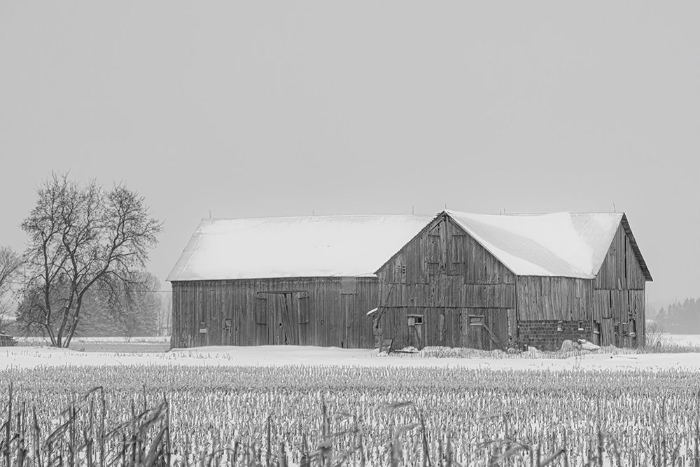 Old Barn Richmond, Ontario II