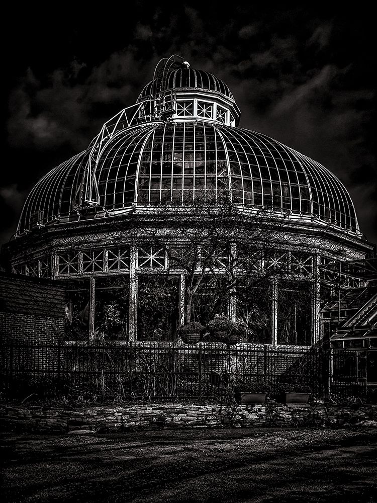 Allan Gardens Conservatory Toronto Black and White