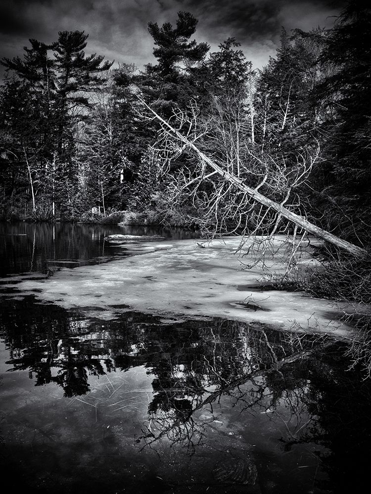 Gullwing Lake No 2