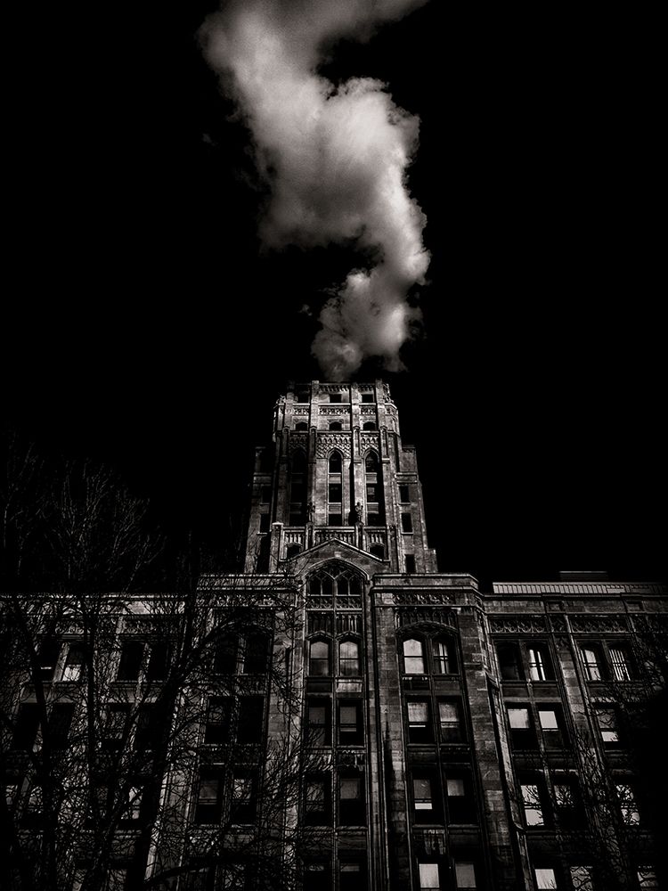 Wellesley Street Toronto No 991