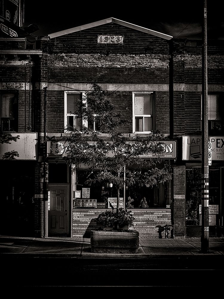 Danforth Avenue Toronto No 861