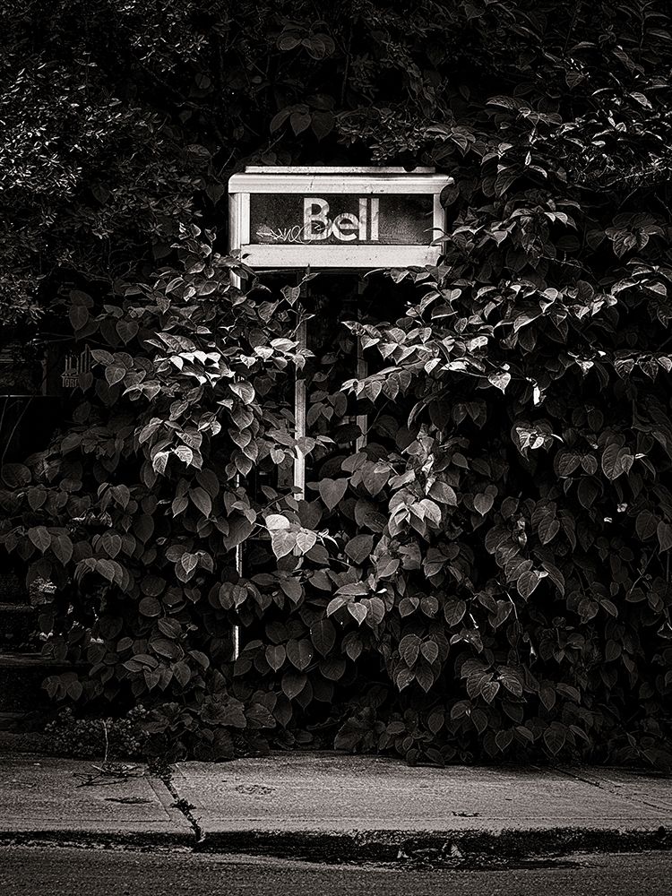 Phone Booth No 5