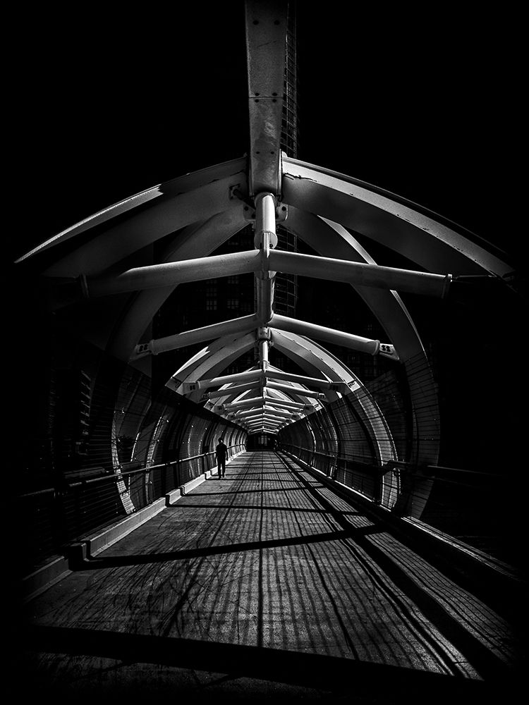 Puente de Luz Bridge Toronto No 1