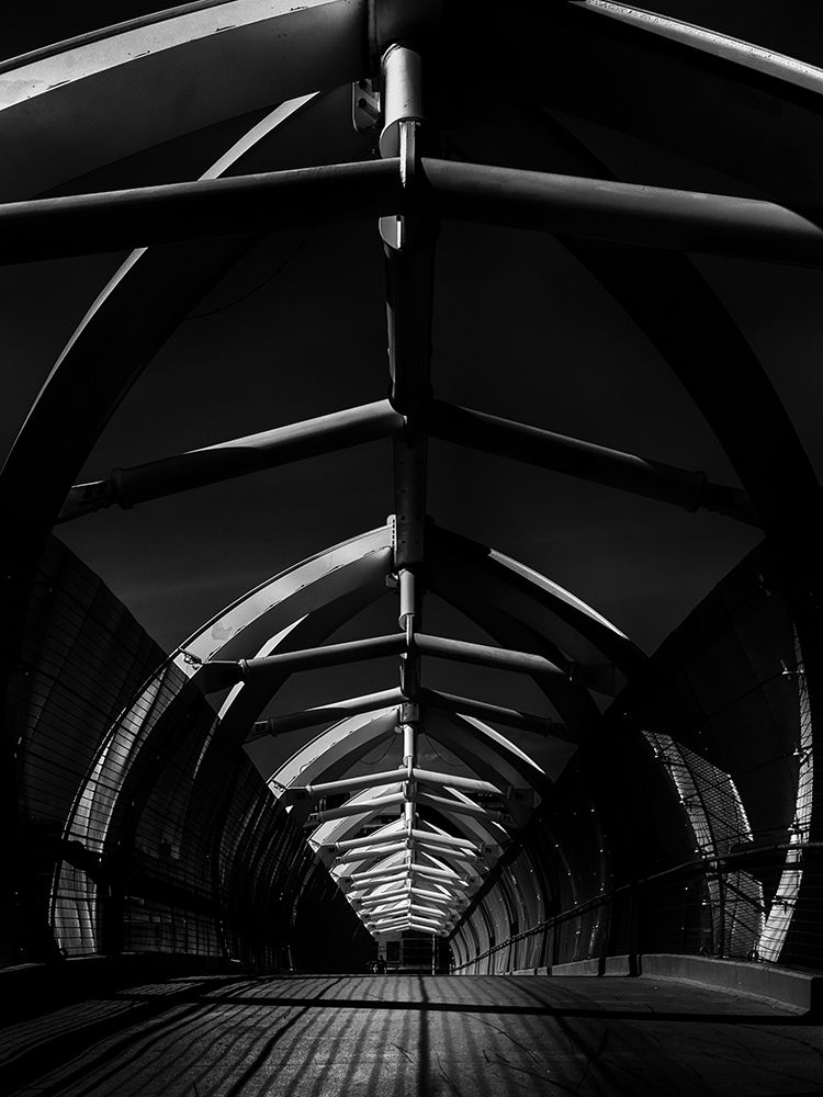 Puente de Luz Bridge Toronto No 2