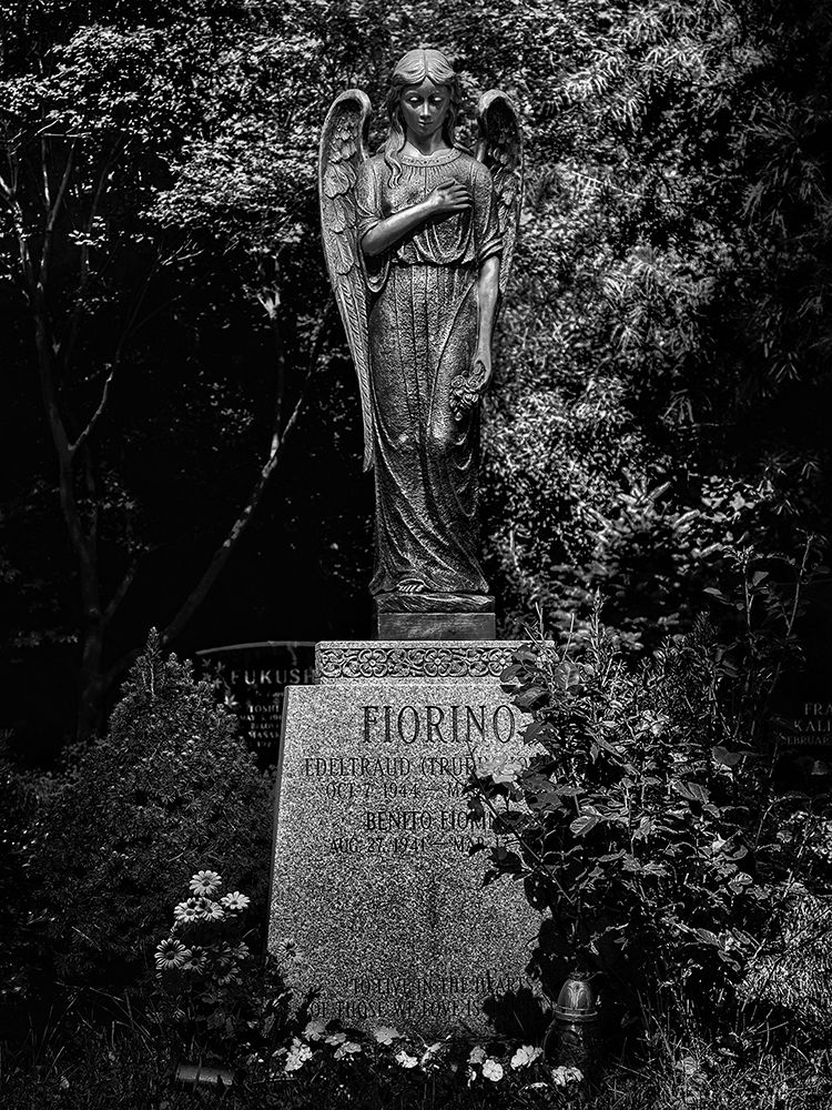 Tombstone Shadow No 18