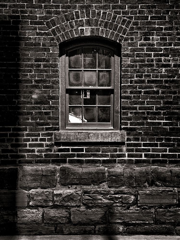 Toronto Distillery District Windows No 4