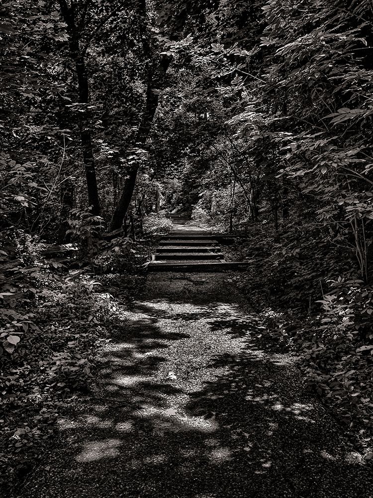 Walk in the Park