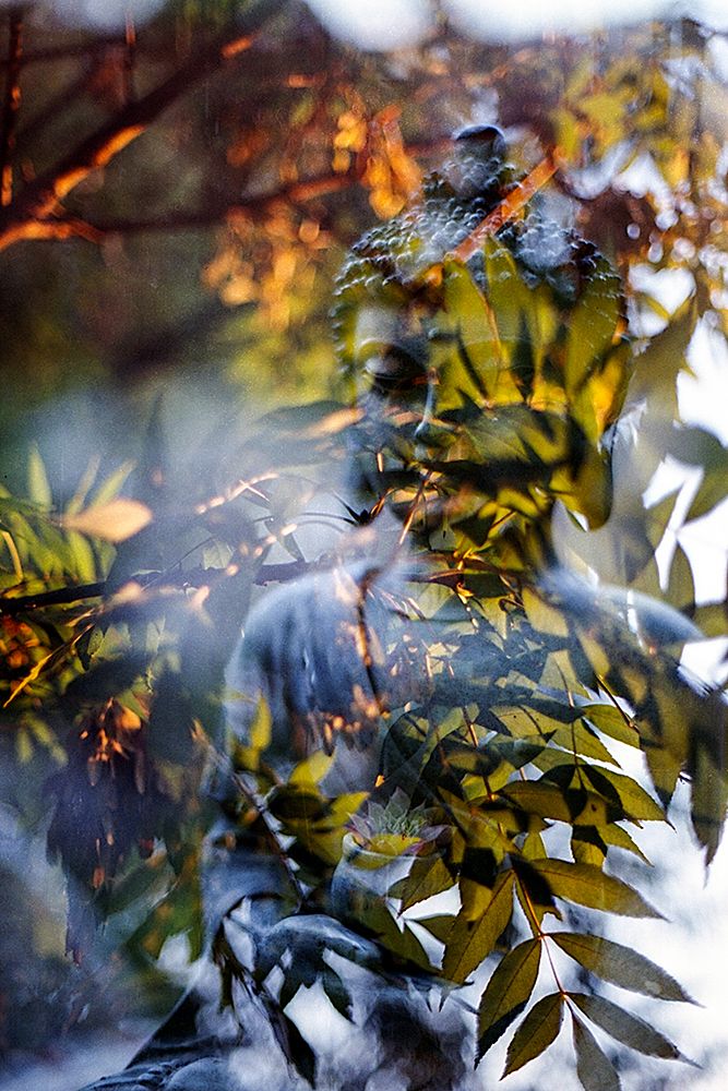 Antique Buddha Statue Reflection I