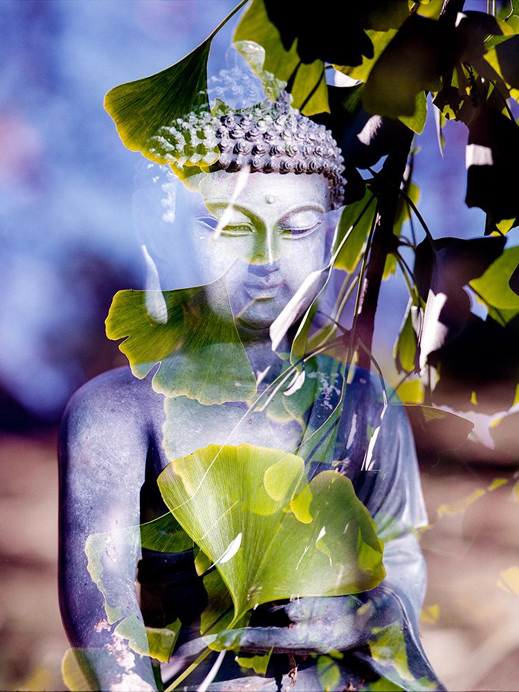 Antique Buddha Statue Reflection II