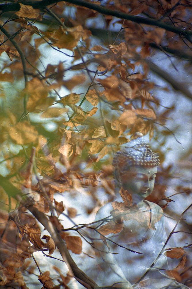 Antique Buddha Statue Reflection III