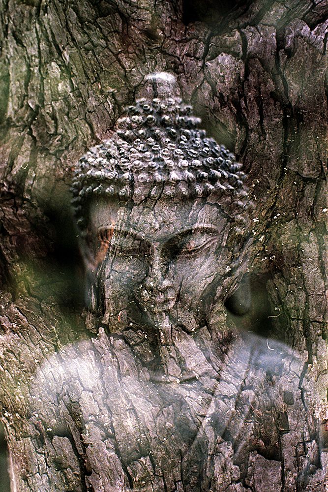 Antique Buddha Statue Reflection IV