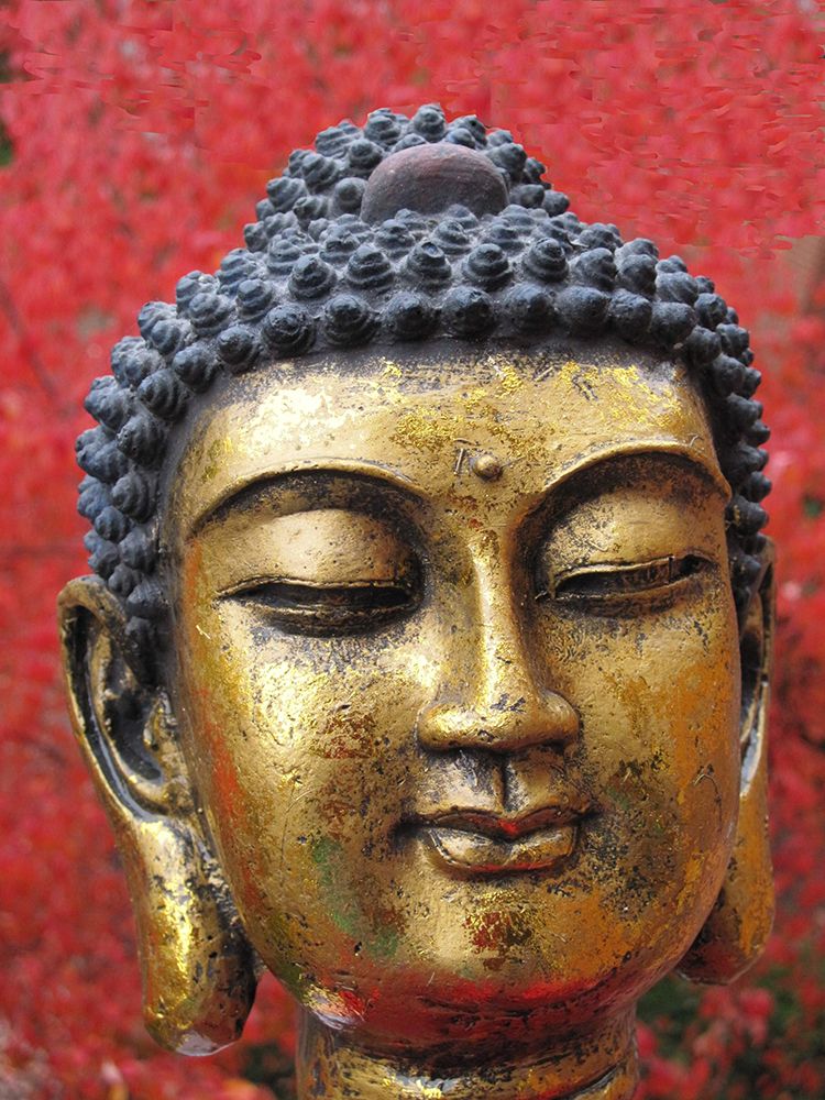 Antique Gold and Red Buddha Statue Head