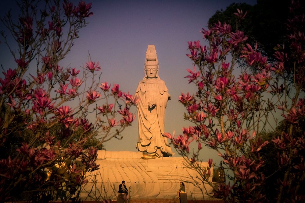 Bacalhoa Buddha Eden