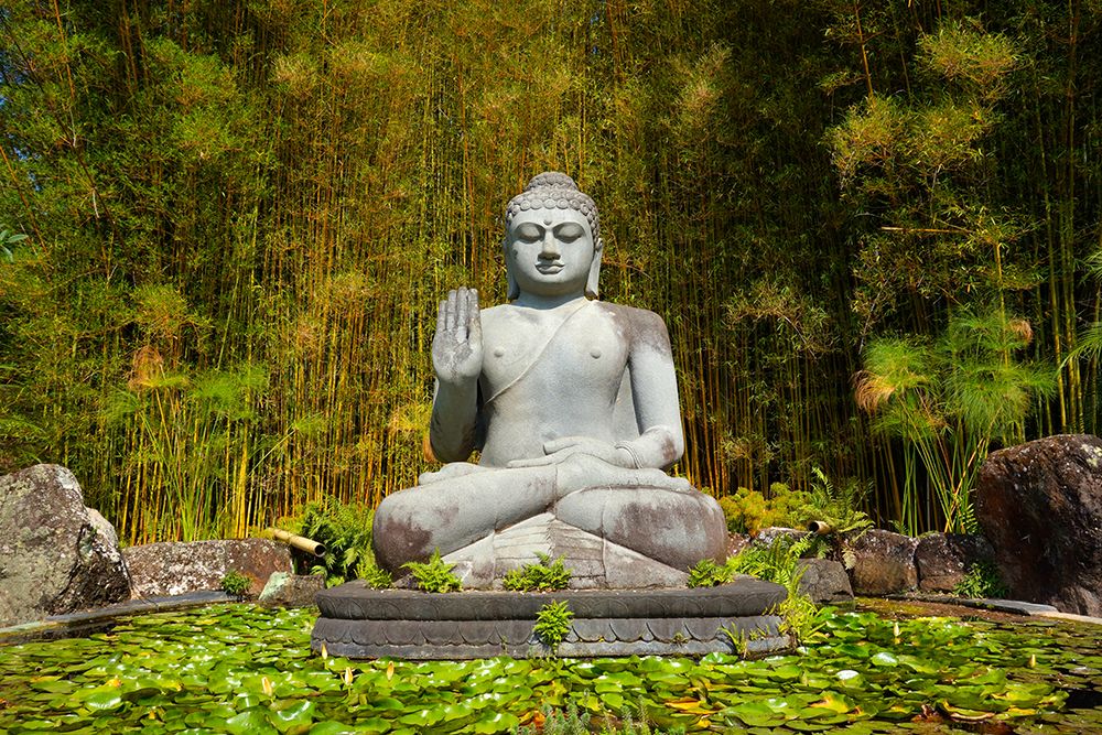 Big Stone Buddha Statue in Forest