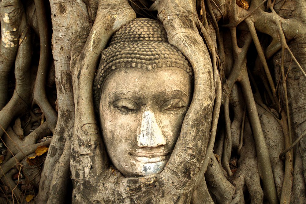 Buddha at Wat Mahathat in Ayutthaya, Thailand