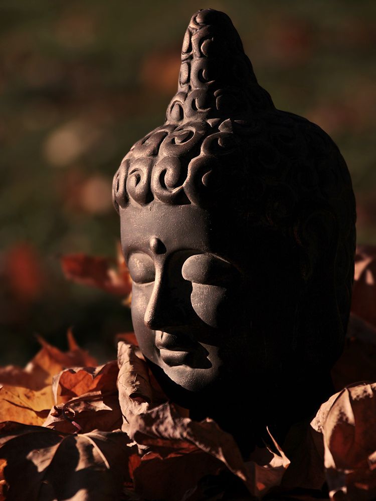 Buddha Head in Fall Leaves