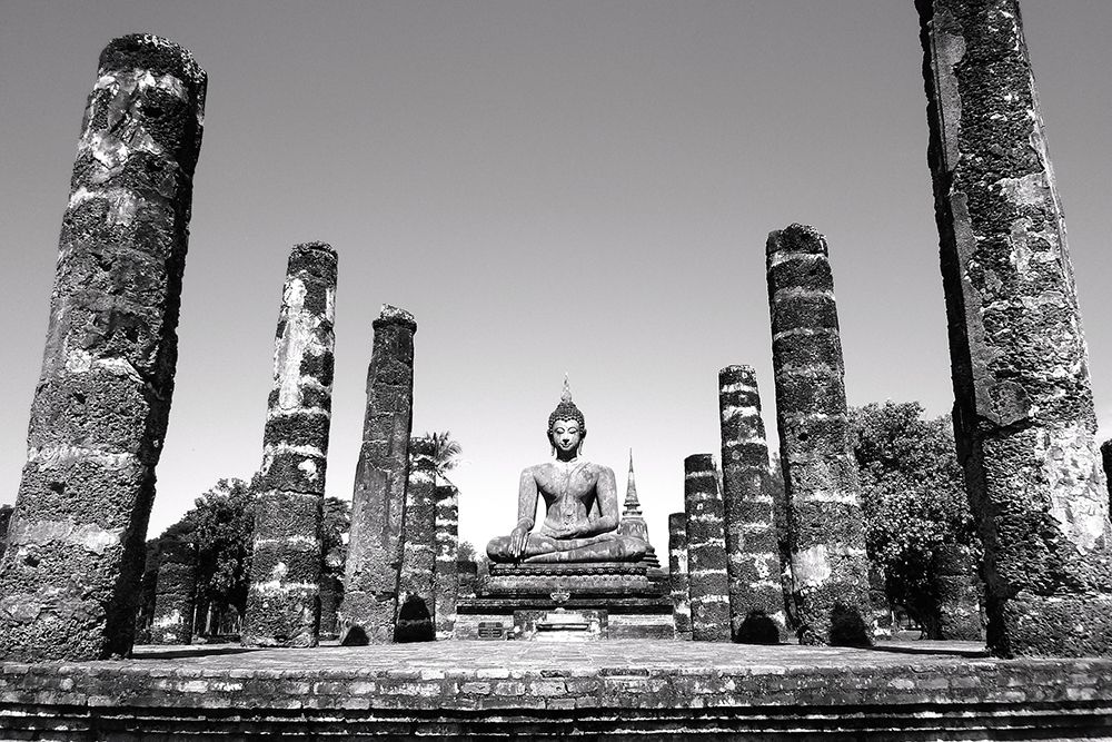 Buddha Statue in Black and White with Columns