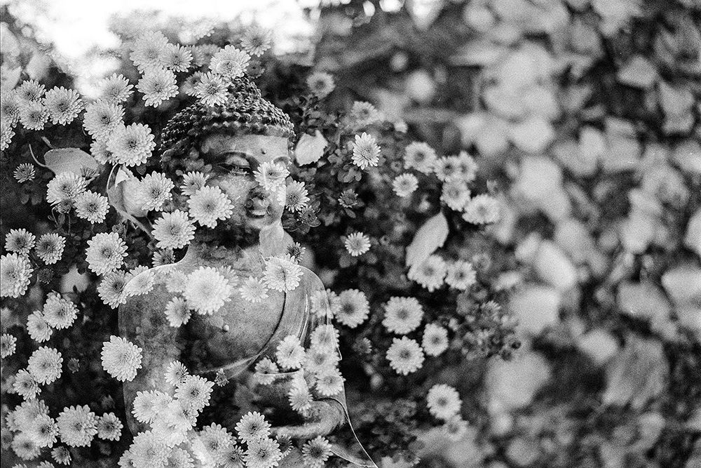 Buddha Statue in Black and White with Flowers