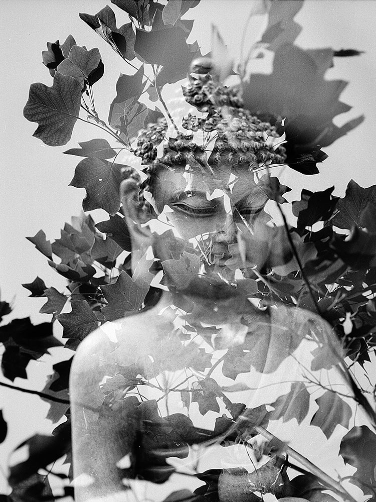 Buddha Statue in Black and White with Leaves I