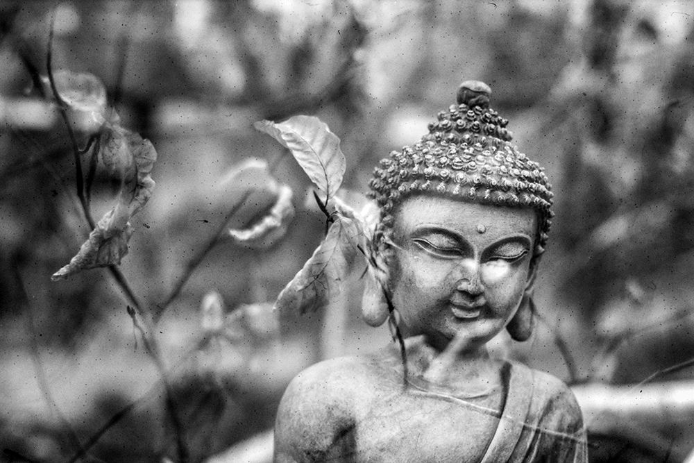 Buddha Statue in Black and White with Leaves II
