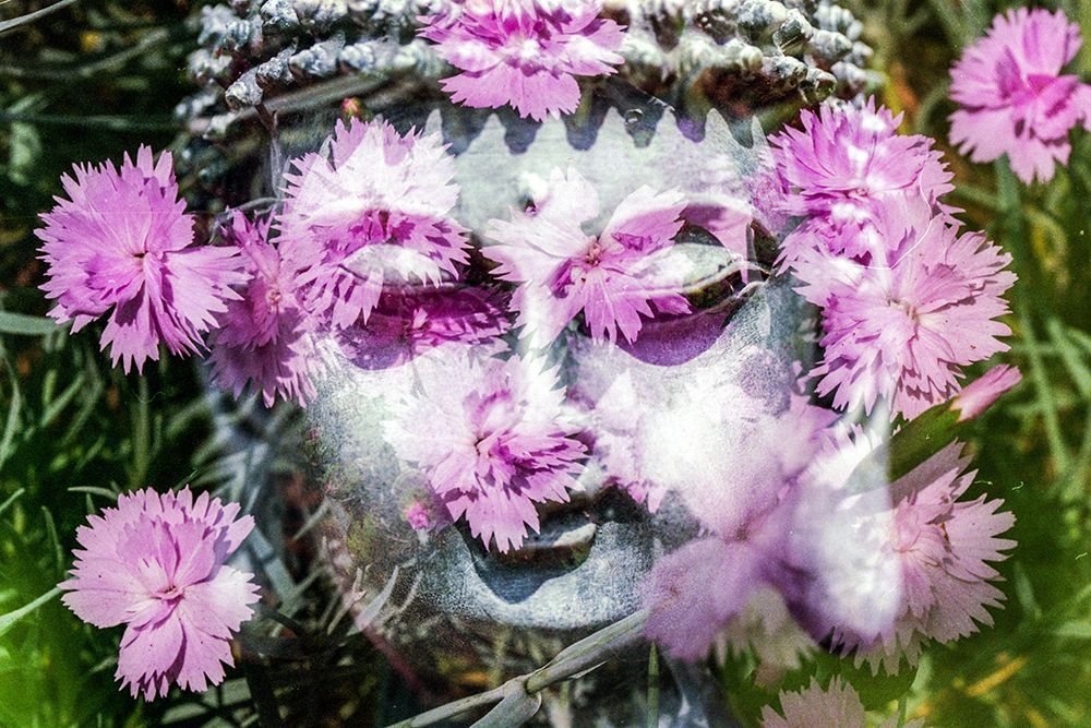 Buddha Statue with Pink Blossoms