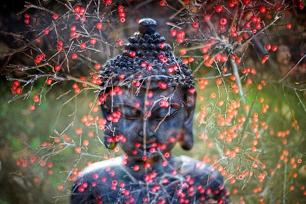Buddha with Red Berries