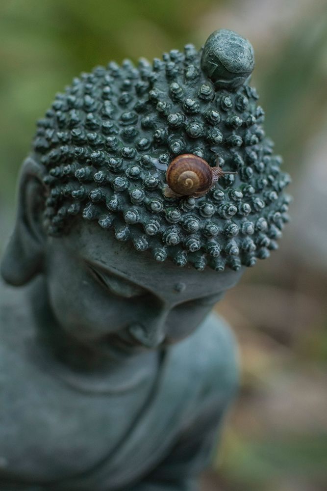 Green Buddha Statue with Snail