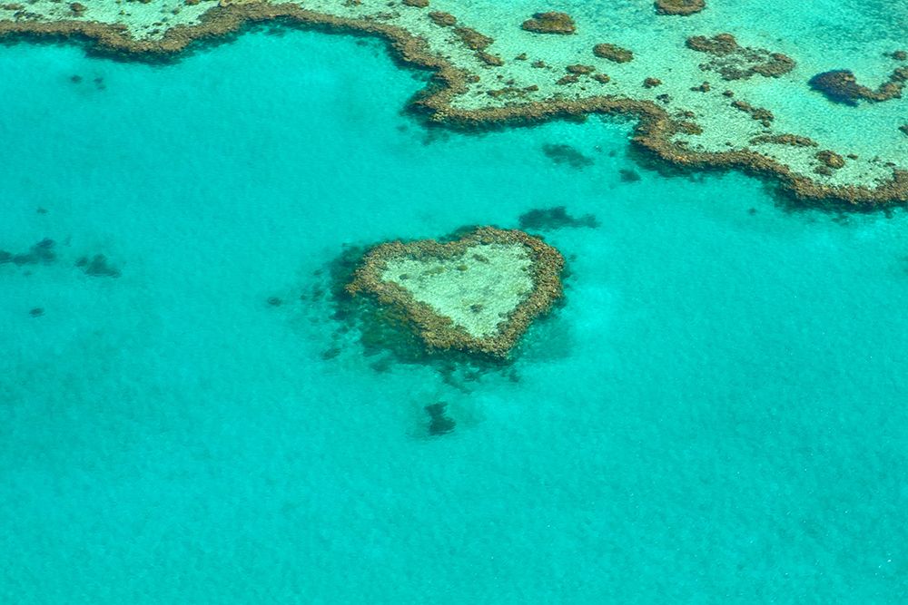Heart shape coral reef