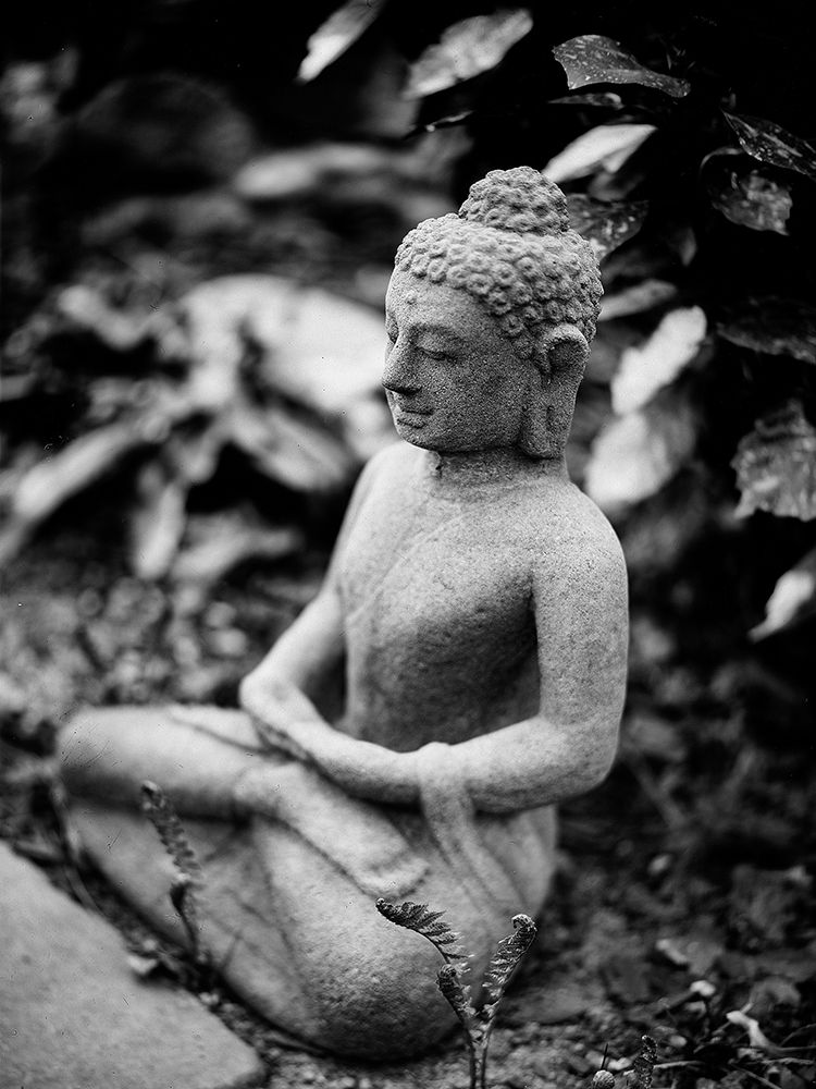 Seated Buddha Statue in Black and White with Leaves