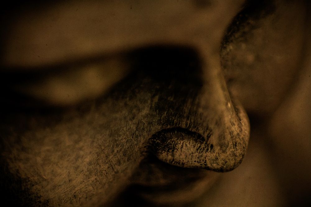 Sepia Buddha Statue Closeup
