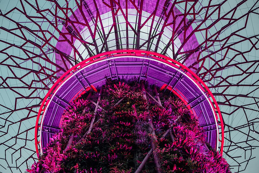 Supertree Grove, Singapore