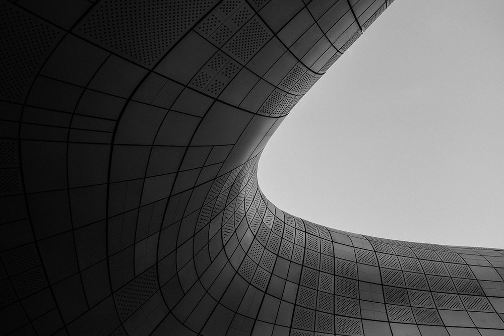 The Curve