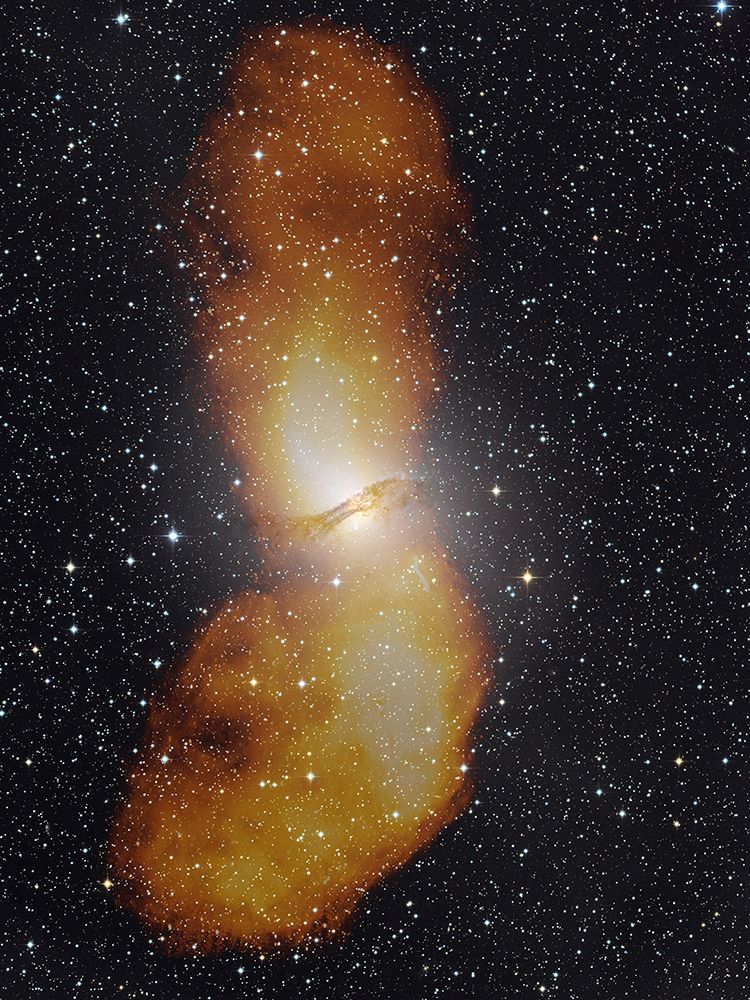 A Black Holes Jets