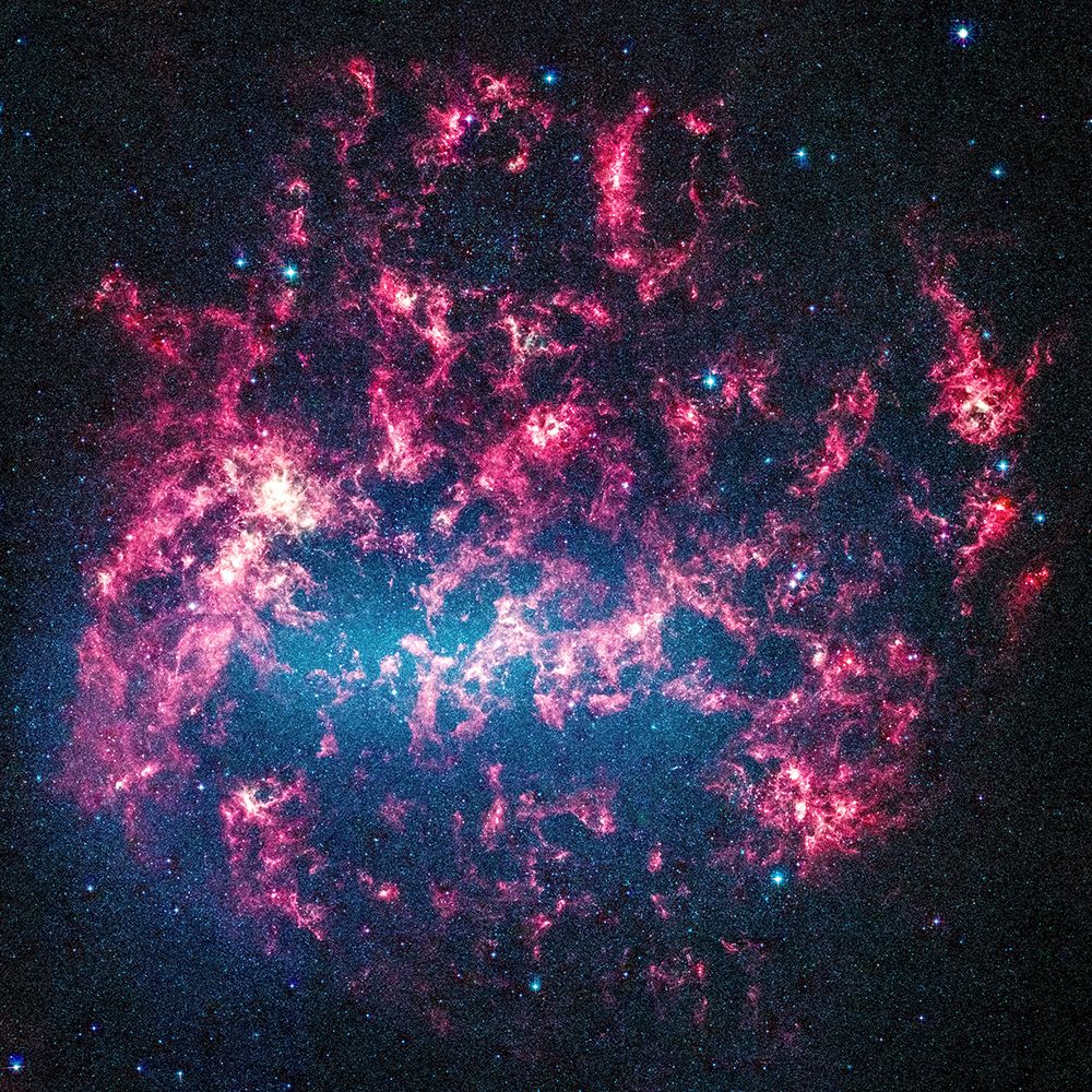 A Large Magellanic Cloud