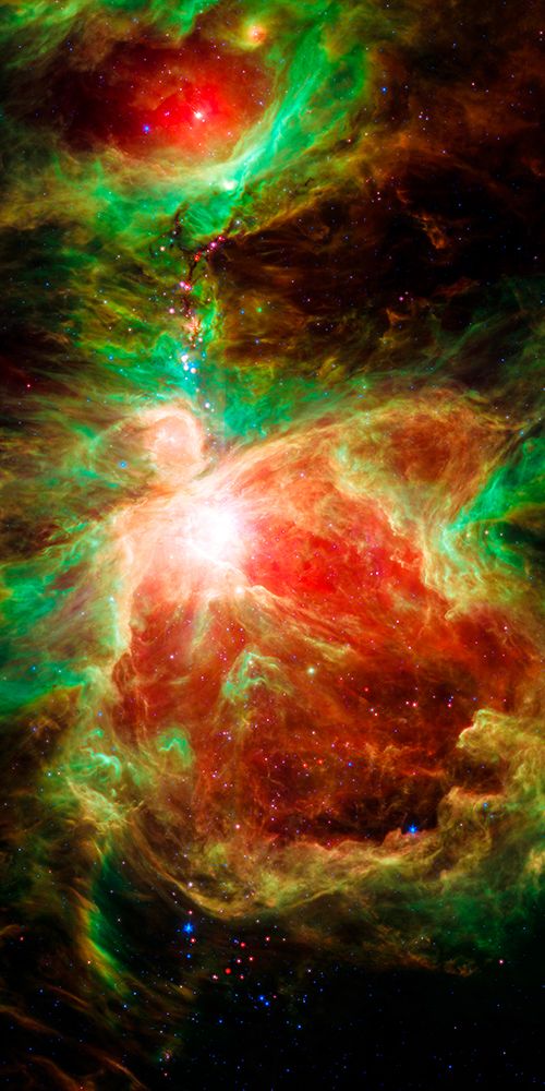 An Active Stellar Nursery in Orion