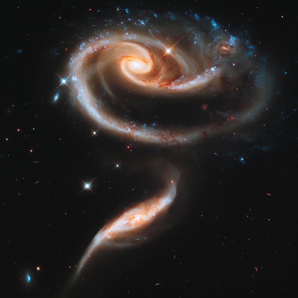 Hubble Rose of Galaxies