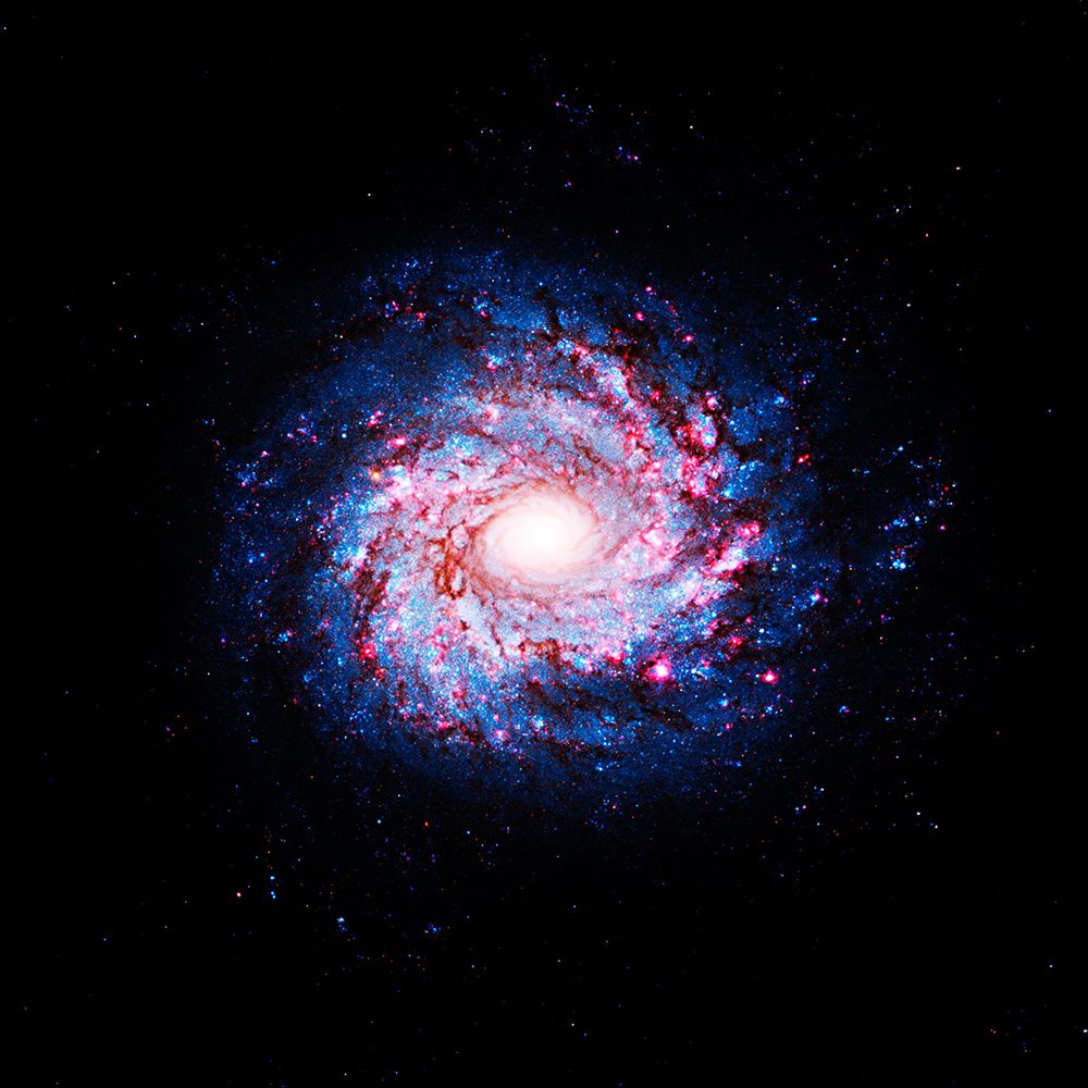 Hubble sees Pinwheel of Star Birth