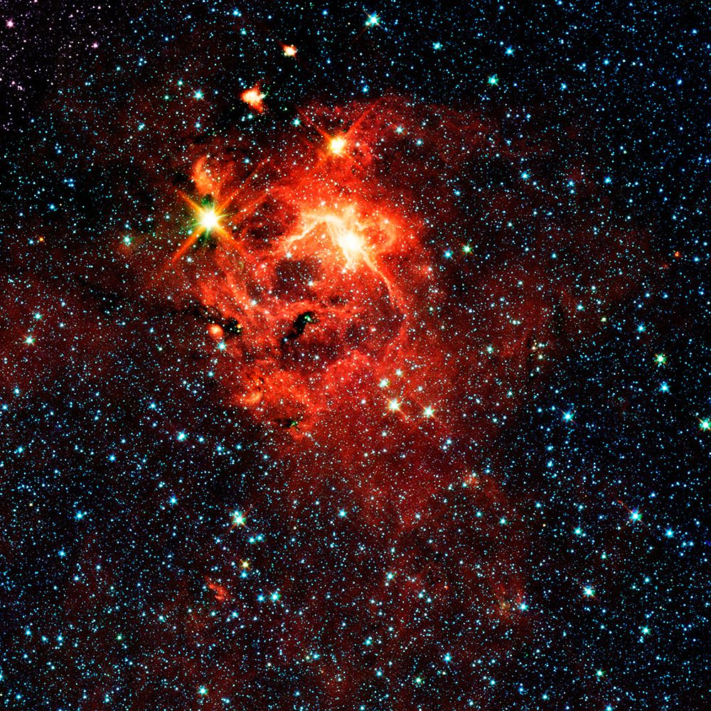 The Bright, Young Star IRAS 13481-6124