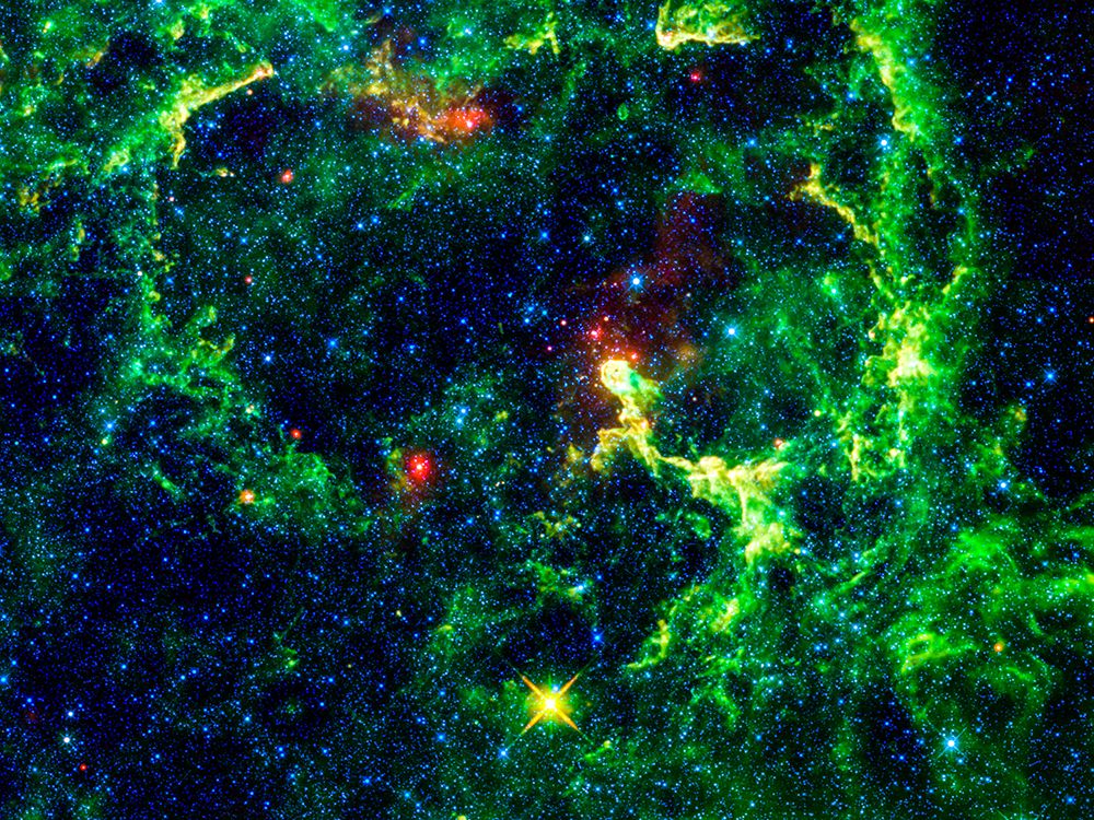 The Elephant Trunk Nebula