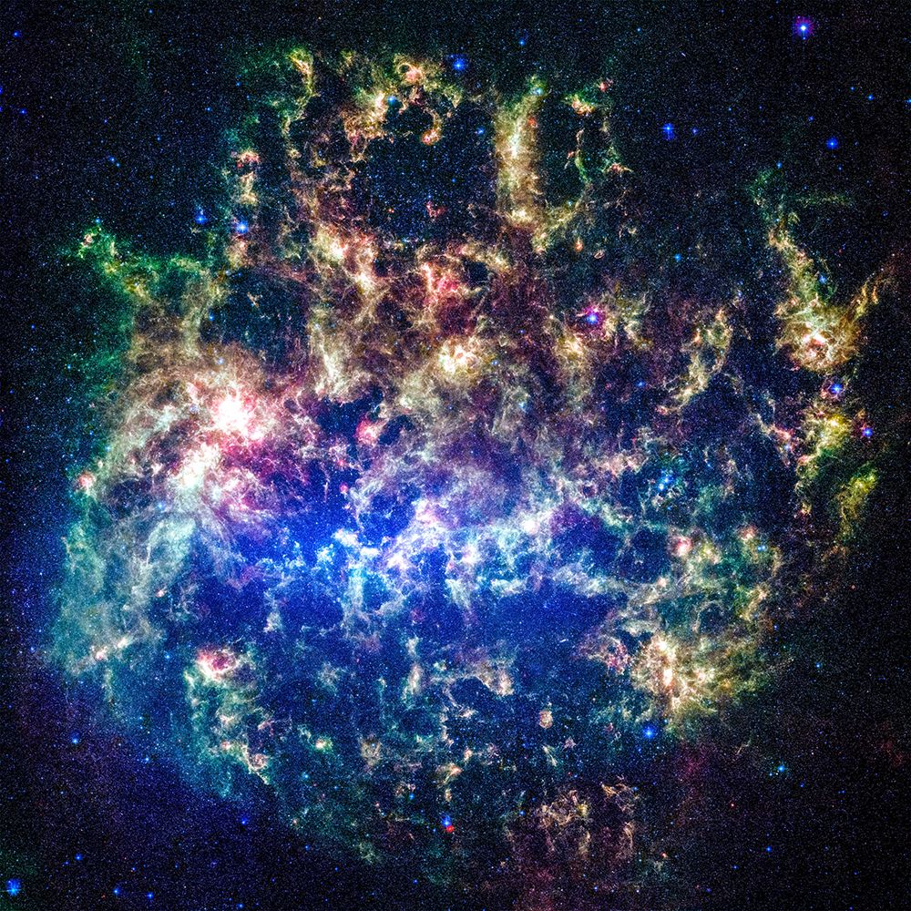 The Large Magellanic Cloud